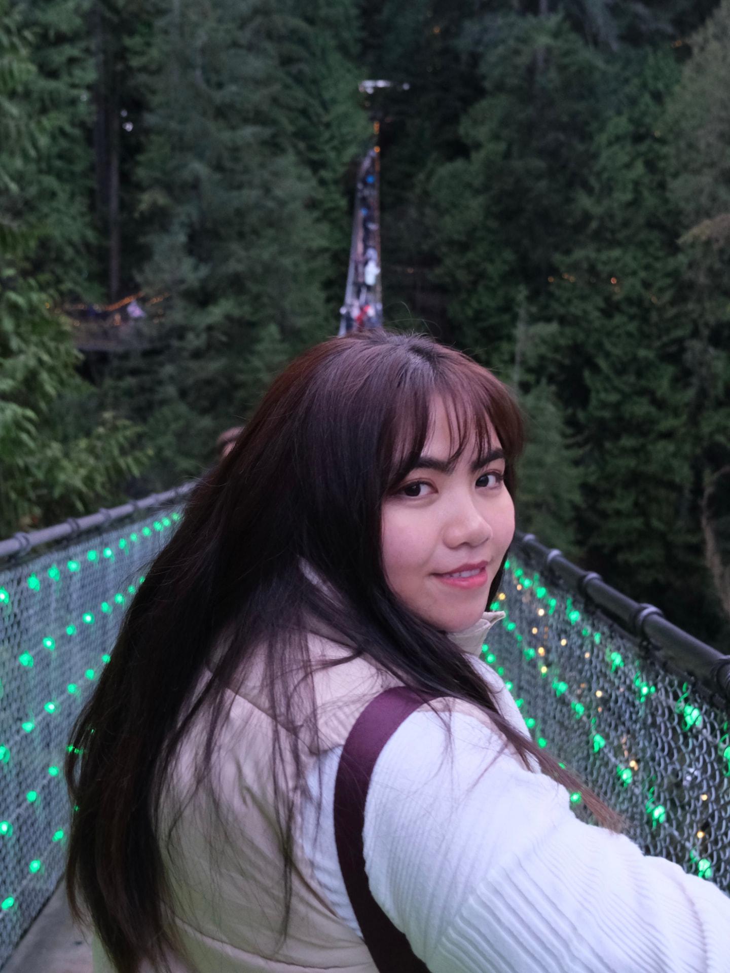 Sam looking back while crossing a suspension bridge